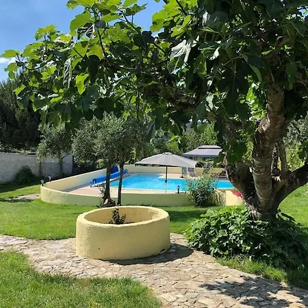 With Bar And Swimming Pool Holiday home Pinheiro de Coja