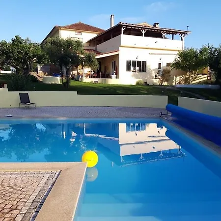With Bar And Swimming Pool