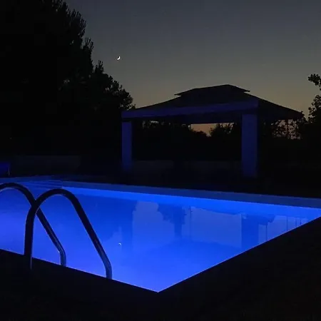 With Bar And Swimming Pool